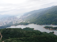 針山