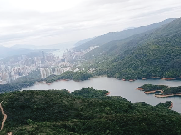 針山