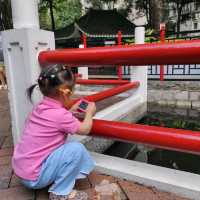 中式公園放電去