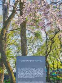서울 단골 드라마 촬영지는 이 곳, N서울타워🗼