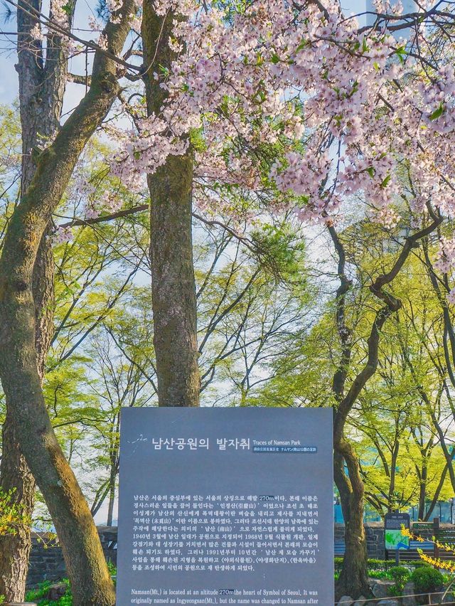 서울 단골 드라마 촬영지는 이 곳, N서울타워🗼