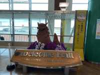 南国ムード漂う那覇空港