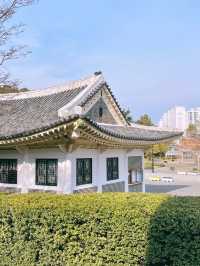 능소화가 만개한 부산 충렬사의 봄,여름