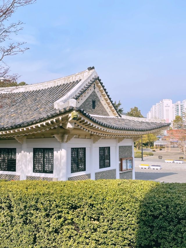 능소화가 만개한 부산 충렬사의 봄,여름
