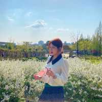 서부해당화라고 들어봤나🌸