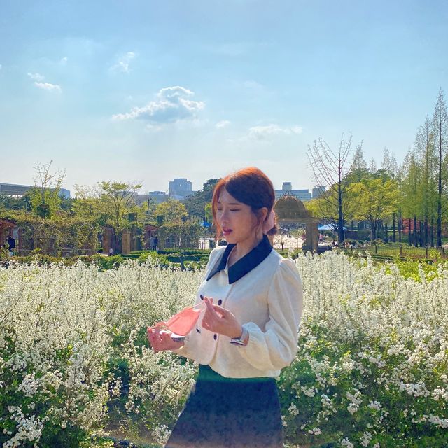 서부해당화라고 들어봤나🌸