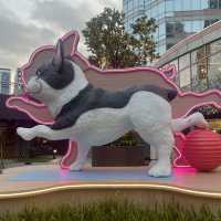 🐶狗狗都可以一齊做運動啦！