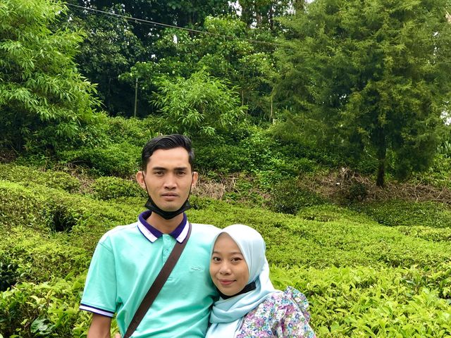 BOH TEA CENTRE, CAMERON HIGHLANDS !! 🍃