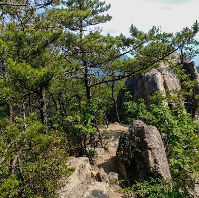 단양 황정산 등산 