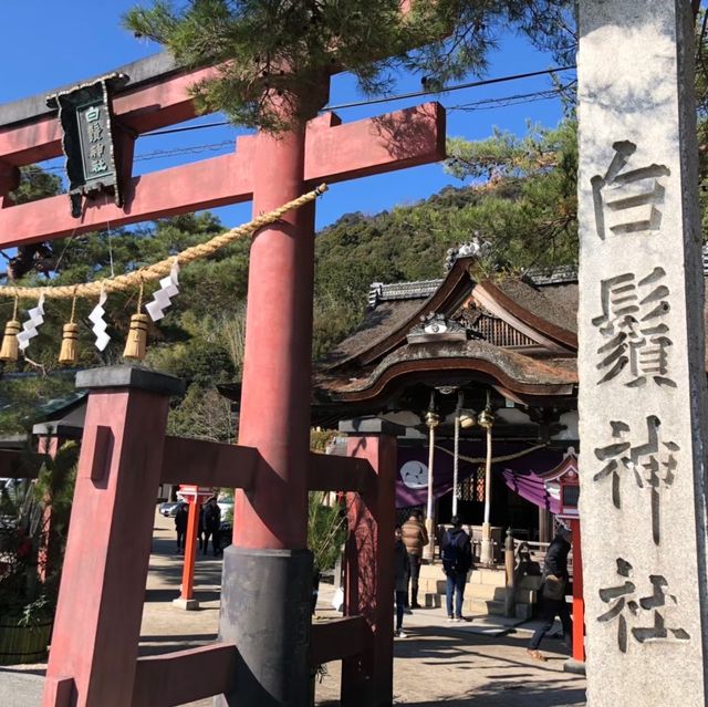 【滋賀県】近江最古の大社でパワーチャージ⛩