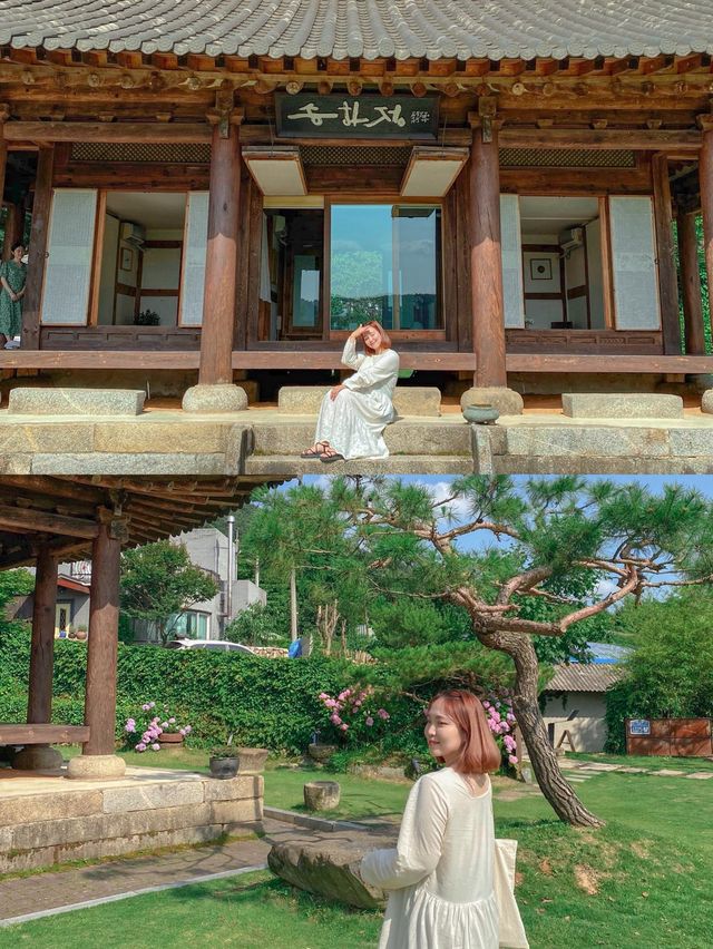 수국이 예쁘게 펴있는 전북 임실카페 '하루'