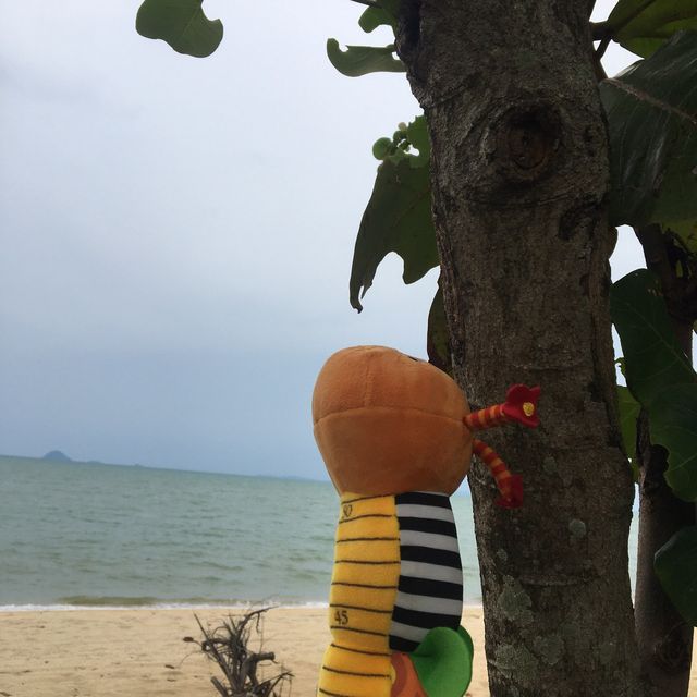 Beach of Whispering Breeze!