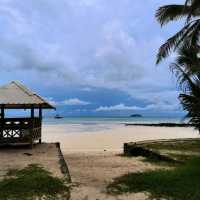 A Beach Within The Forest
