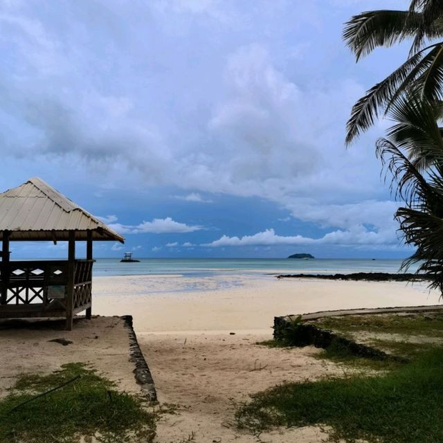 A Beach Within The Forest