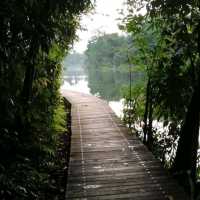 Lower Peirce Reservoir Park
