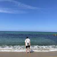 동해바다의 대표_ 강문해변⛱️
