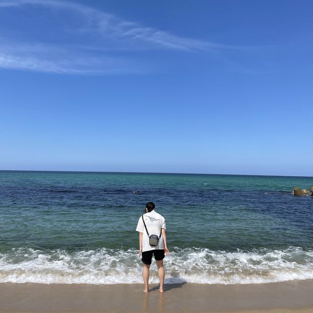 동해바다의 대표_ 강문해변⛱️