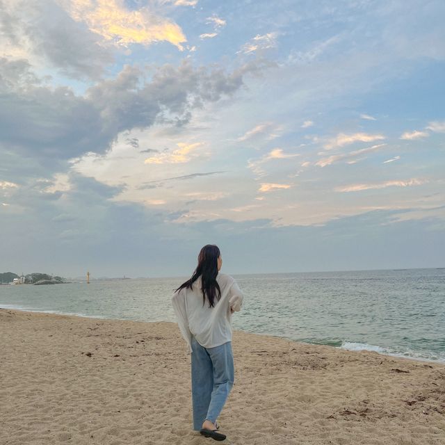 한적한 동해바다가 보고싶다구? 🌊 강원도 고성 <봉포해변>