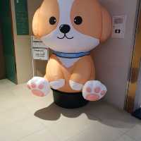 할로윈데이 강릉세인트존스 방문기♡