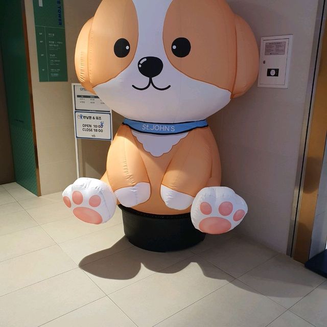 할로윈데이 강릉세인트존스 방문기♡