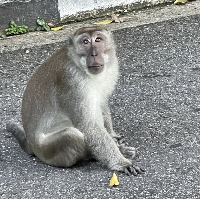 Exploring the Beautiful Nature in Brunei 