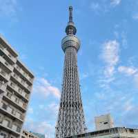東京のランドマーク！世界一高いタワー！