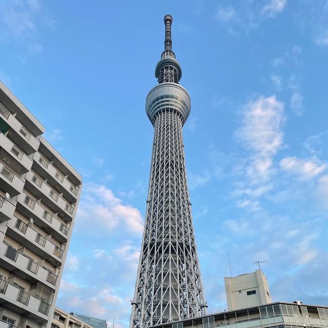 東京のランドマーク！世界一高いタワー！