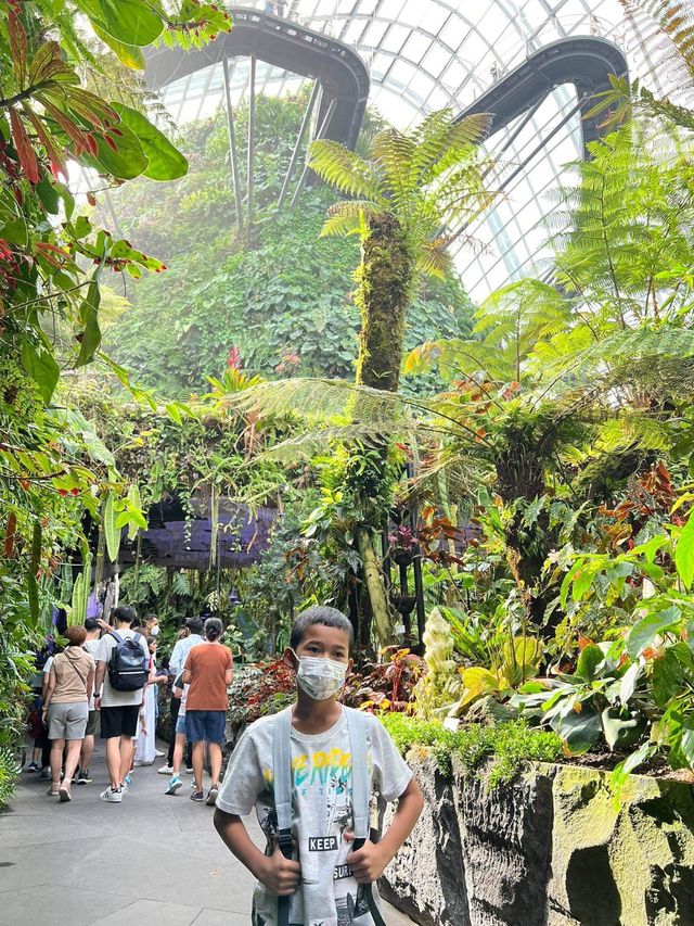 🌿🌿 Cloud Forest  “เมืองในหมอก” สิงคโปร์🦁