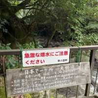 【熊本】夫婦滝