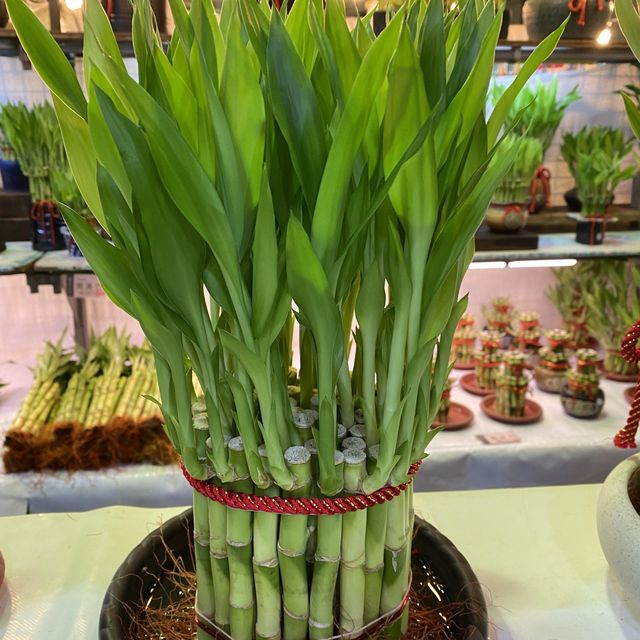 Weekend Flower Market Taipei 