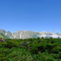 夏の八方尾根