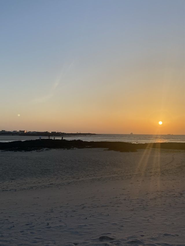 노을맛집 🌅 피크닉