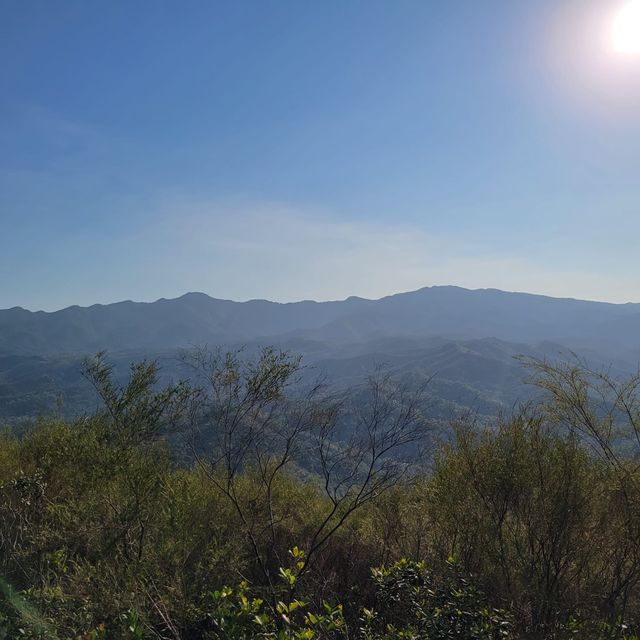 擁有獨特的生態價值｜鹿頸 