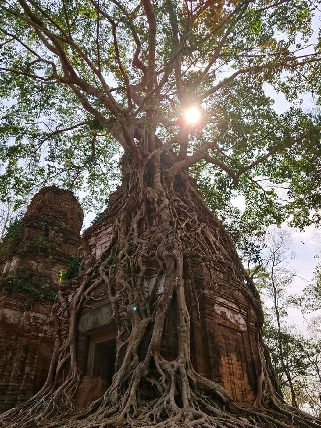 Koh Ker temple 