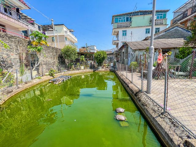 親子之旅 錦田壁畫村