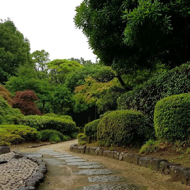 Beautiful Japanese garden  at Chiba