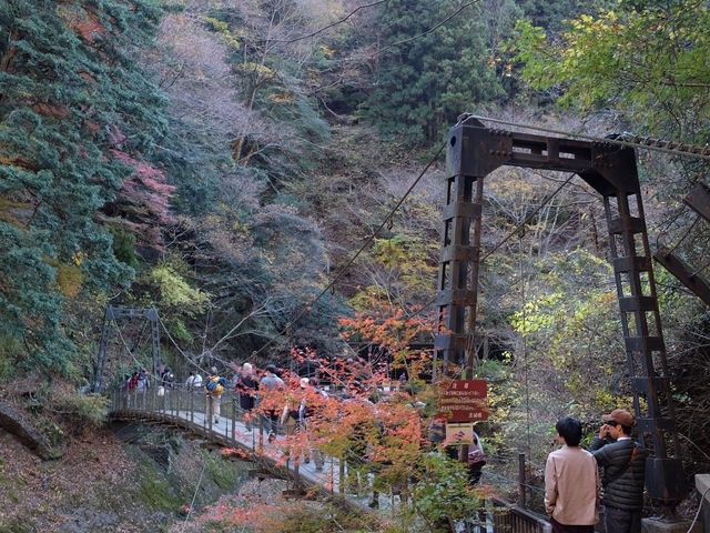 日本三大名瀑布｜袋田瀑布