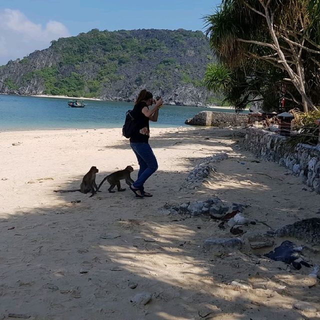 北越吉婆島必玩景點—猴子島