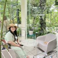 COMFEE คาเฟ่ในสวนร่มรื่น อ่าวลึกกระบี่