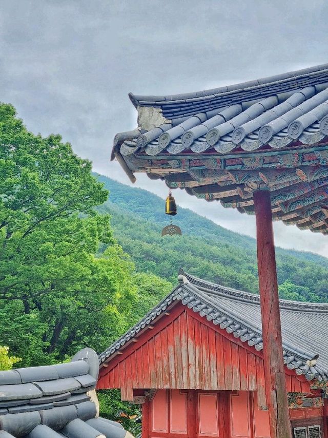 산 속에 숨겨진 구례 화엄사에서 힐링