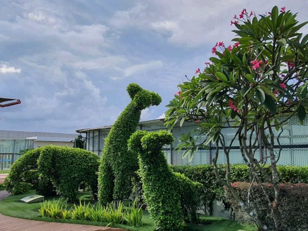 Tampines Mrt To Gardens By The Bay Fasci Garden