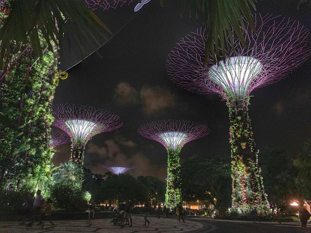 Colorful, Giant “Trees” at Gardens By The Bay