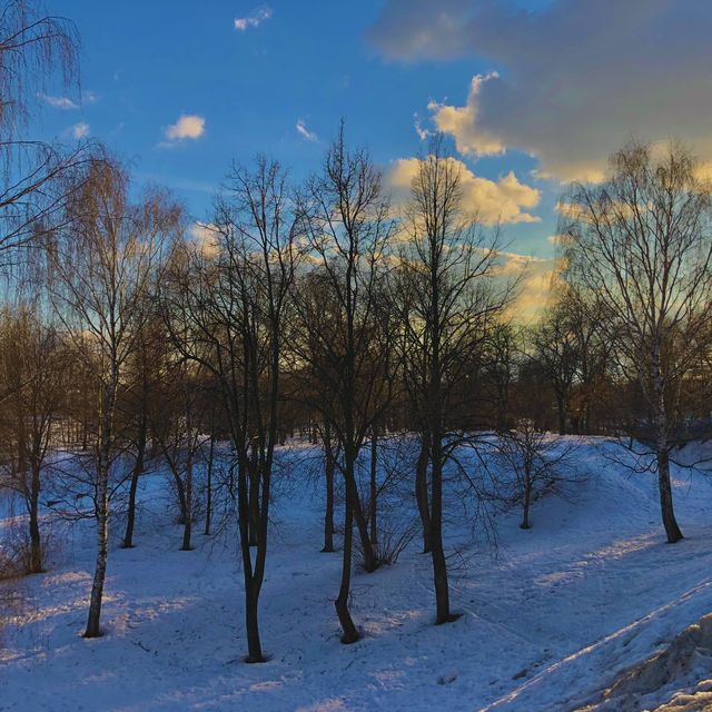 Enjoying the Magical Snowy Winter