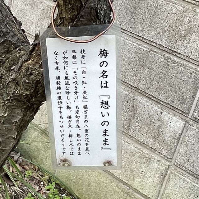 【福岡】地下鉄唐人町駅近くの神社