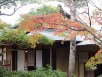 【福岡】動植物園近くの日本庭園