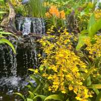 Singapore Botanic Gardens
