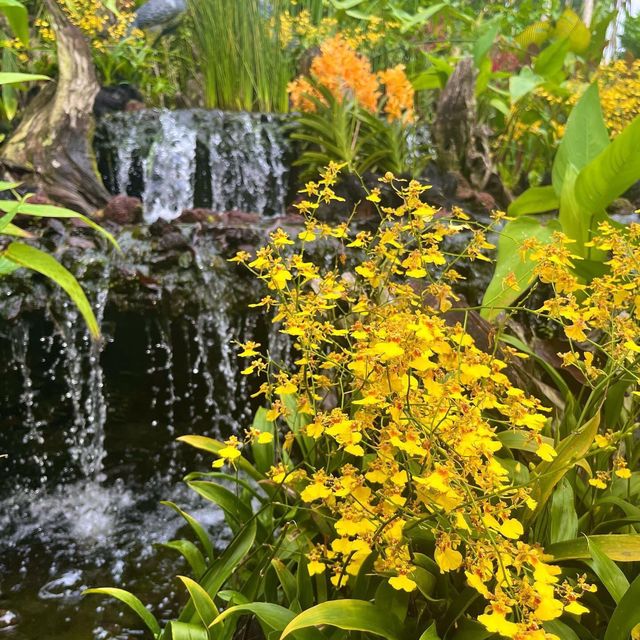 Singapore Botanic Gardens
