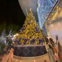 The Great  Christmas Light-Up