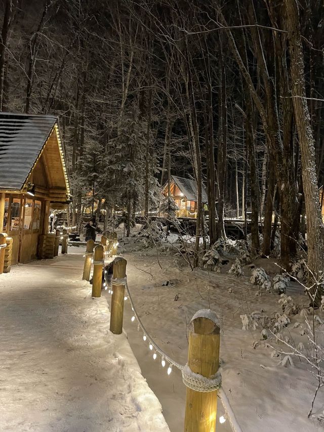 🇯🇵北海道-森林精靈露台