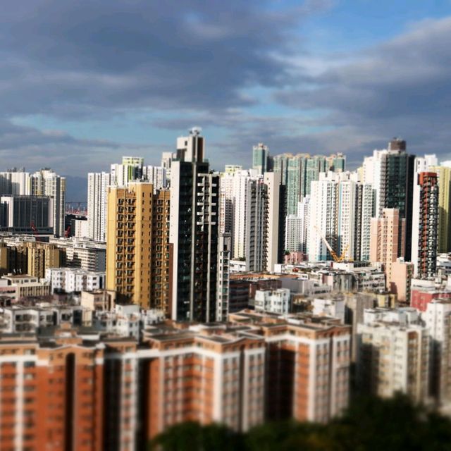 嘉頓見！ 嘉頓山頂，換個角度，遠眺望深水埗~